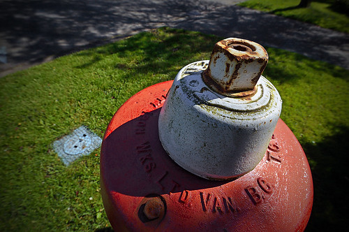 HYDRANTS, PUNCHES, TEA AND CRUMPETS