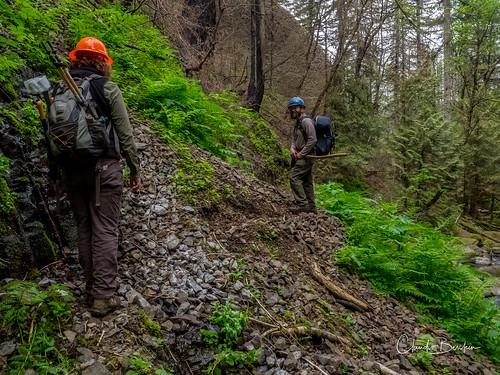 Rock slide damage along Larch Mountain Trail. Photo courtesy of Trailkeepers of Oregon.