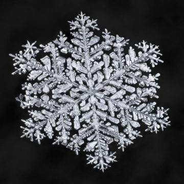 Snowflake-a-Day No. 62