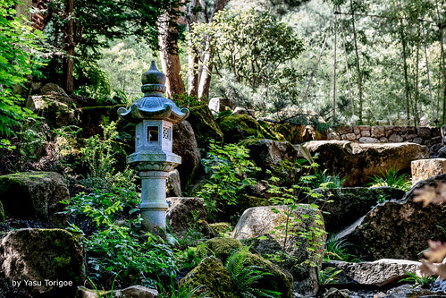 Tōrō Decorates Portland Japanese Garden, Portland OR USA-8a