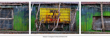 Triptych: Overgrown Shed, 84 Main St W