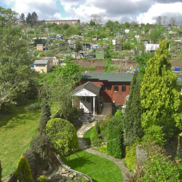 Back garden, spring 2008