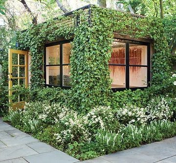Ivy Shed