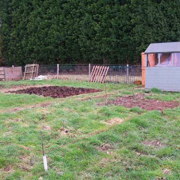 The Allotment February 18th 2012