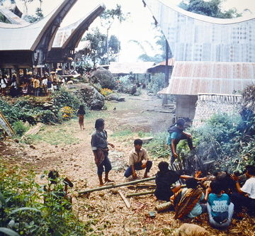 Indonesia - Sulawesi - Tanah Toraja - Village Life - 11