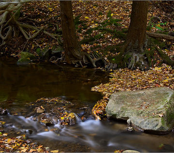 Sulphur Springs Creek, Autumn