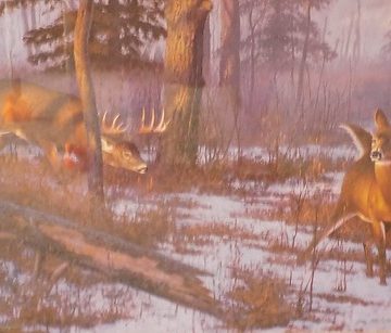 artwork of a deer scene