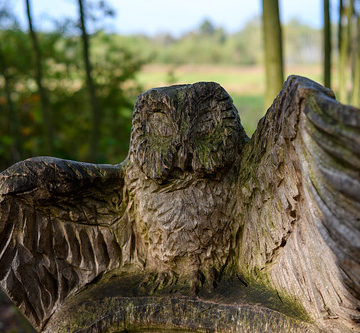 Chair owl