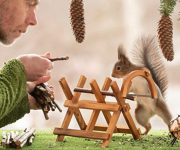 Red Squirrel and man are standing with a saw and saw block