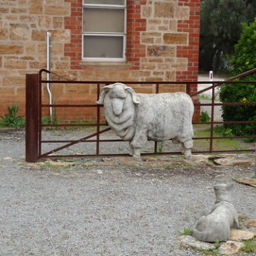 Hallett. Statue of a Merino ram and a Stratton GAte. Stratton gates made by Hallett blacksmith and sold around Australia especially to South Australian Railways.