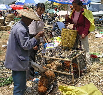 China - Yunnan - Dali - Market - 78