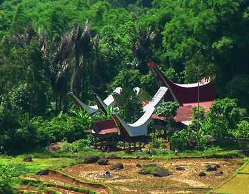 Indonesia - Sulawesi - Tanah Toraja - 204