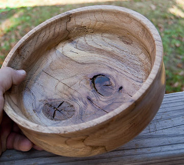 #0006 Spalted Red Oak
