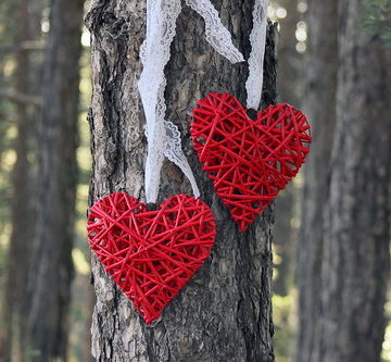 RED WILLOW HEARTS - Set of 2 Hearts with Lace - Wicker hearts wooden hearts Photo Props, wedding, home wall decor decoration valentines