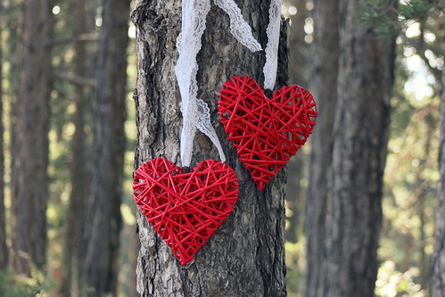 RED WILLOW HEARTS - Set of 2 Hearts with Lace - Wicker hearts wooden hearts Photo Props, wedding, home wall decor decoration valentines