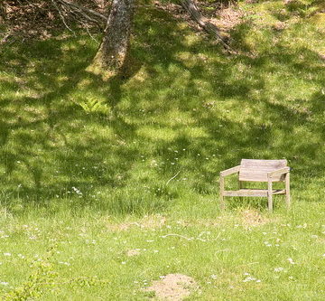 An idyllic picnic spot - with a wonderful handmade 100% wooden chair.